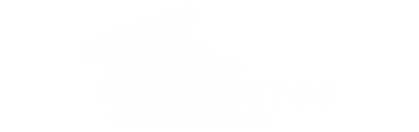 TicketEyes logo